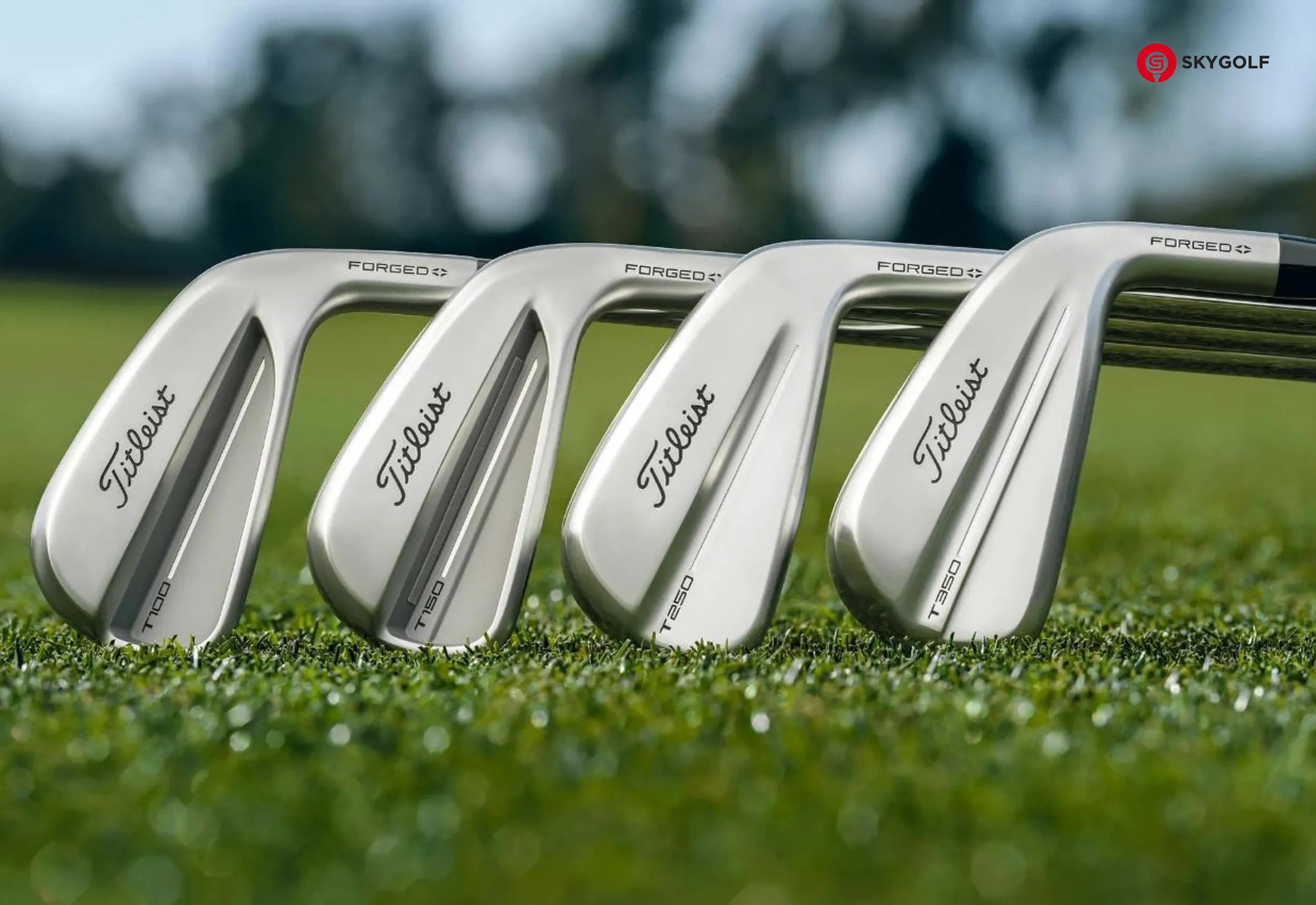 Gậy sắt Titleist 